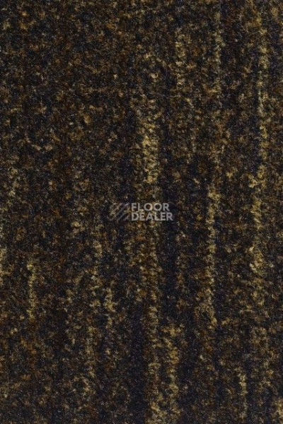 Грязезащитные покрытия Vebe Arco Pc Arco 60 фото 1 | FLOORDEALER